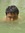 Leeroye John Flores