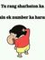 Robin Y...