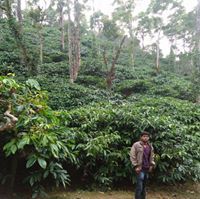 Mahesh Guttedar Korvi