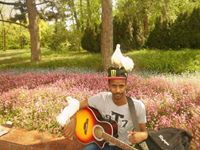 أحمد ابوقرون