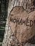 Mohamed...