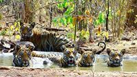 Chandrapur Darshan