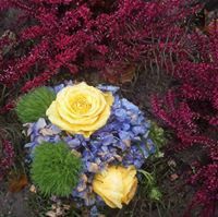 Princess Samar El Sayed