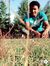 Nihal C...