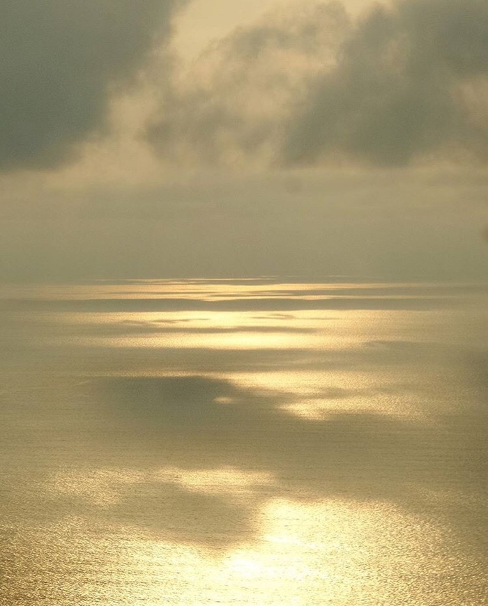 Goodreads profile picture for @morning