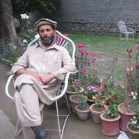 Shahzada Ul Mulk