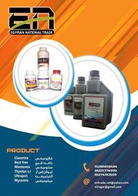 الوطنية المصرية