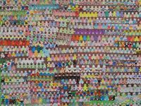 Annette Cfn Coordinator