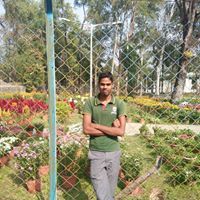 Ajmul Hossain