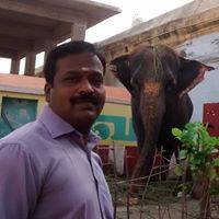 ஆனந்தன் அமிர்தன்