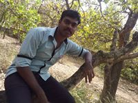 Nipin NA
