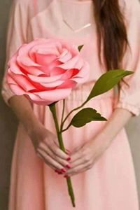 Hasnaa Anwar