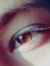 Heba Khalf