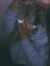 Sel Maa