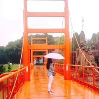 Цэцэгдарь Т.