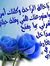 Youssif...