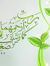 مريم قوش