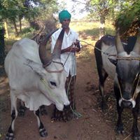 Sivagnanam Amutha Lakshmi