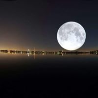 رضا عبد الملك