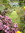 Karen (karen_books) | 1 comments