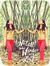 Shweta ...