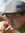 AJ Longstreet