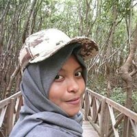 Indri Indri