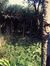 Sagar B...