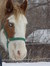Widget