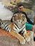 Vinoth ...