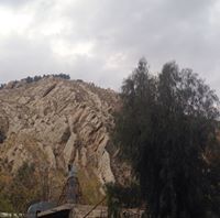 محب ابو طالب