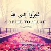أسماآء محمد