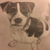 Bernadette Griffiths