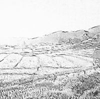 พัทธดนย์ ไชยศร