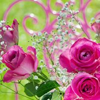 امل عبد الله