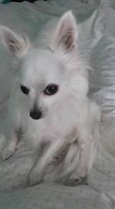 Danielle (Arabbitinwonderland)