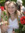 Haley
