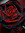 Black Beauty Bassist (darkflames17) | 178 comments