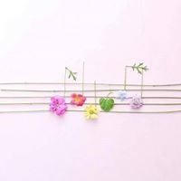 سيرين البيادرة