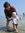 Bayu Ok...
