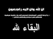 Mostafa Elkashef