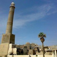 زهرة البنفسج