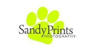 Sandy Prints