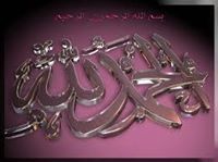 Rashed Jabin
