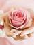 Zaina S...