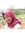Afina P...