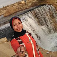 Bosina Akram