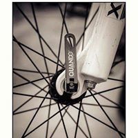 ধ্রুব বিন্দু