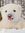 Polor Bear