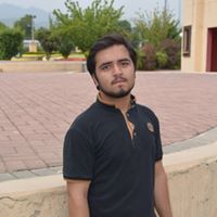 Syed Shafaat Hussain